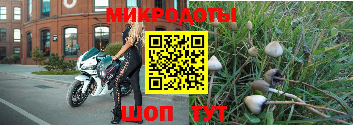 Гурьевск  Галлюциногенные грибы GOLDEN TEACHER  Вход с VPN  Псилоцибиновые грибы ЛСД 